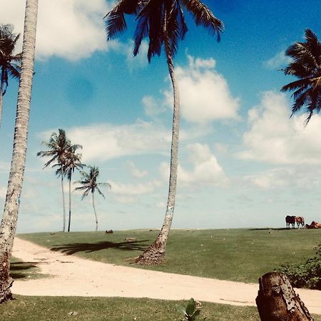 Dorian Guest House And Restaurant Weligama Kültér fotó