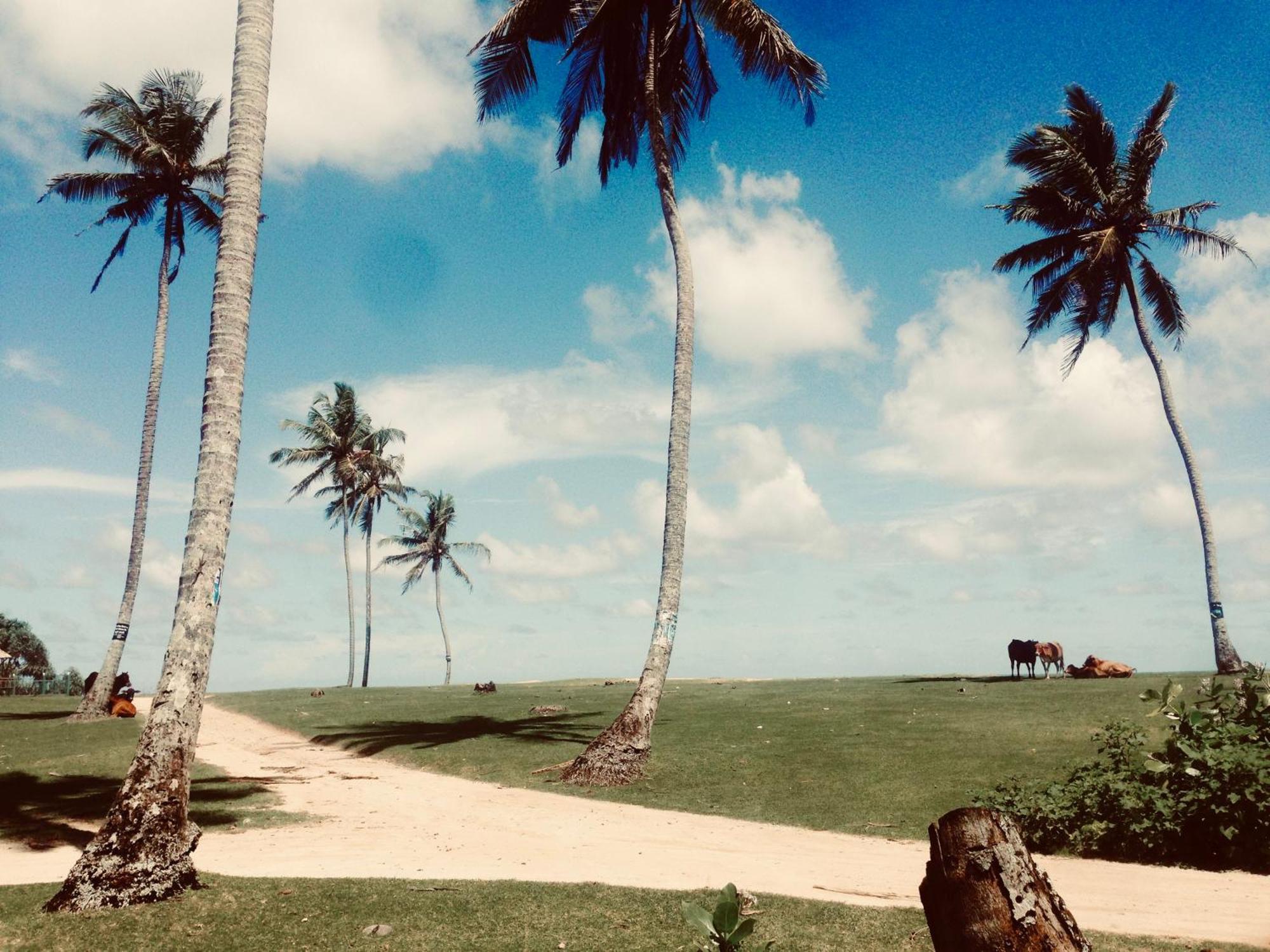 Dorian Guest House And Restaurant Weligama Kültér fotó